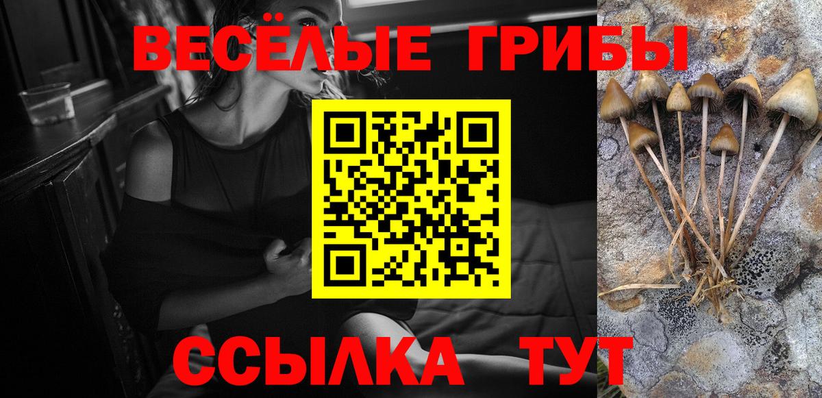 Воркута  Галлюциногенные грибы Cubensis  Вход с VPN 